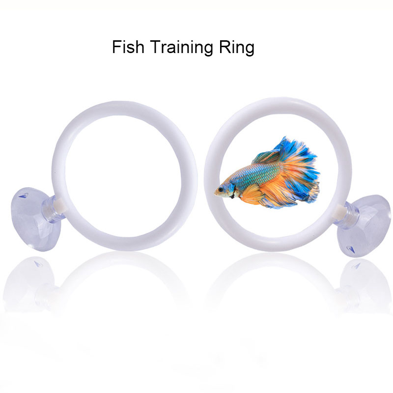 1 шт. Пластиковый тренировочны – обзор и цена Gymnastic Ring